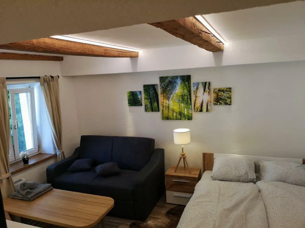 Deluxe Innsbruck Town Studio 0*,  Österrike
