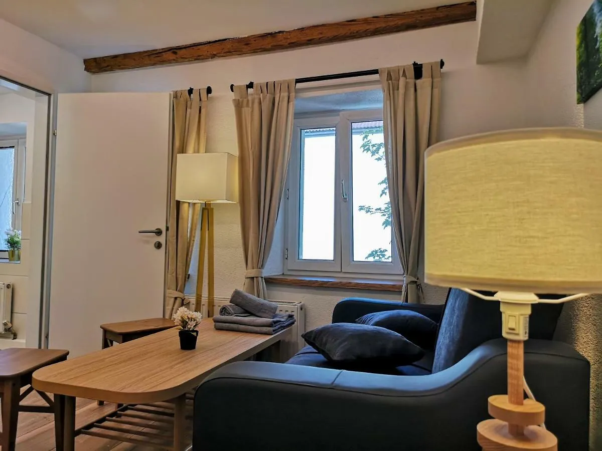 Deluxe Innsbruck Town Studio Apartment