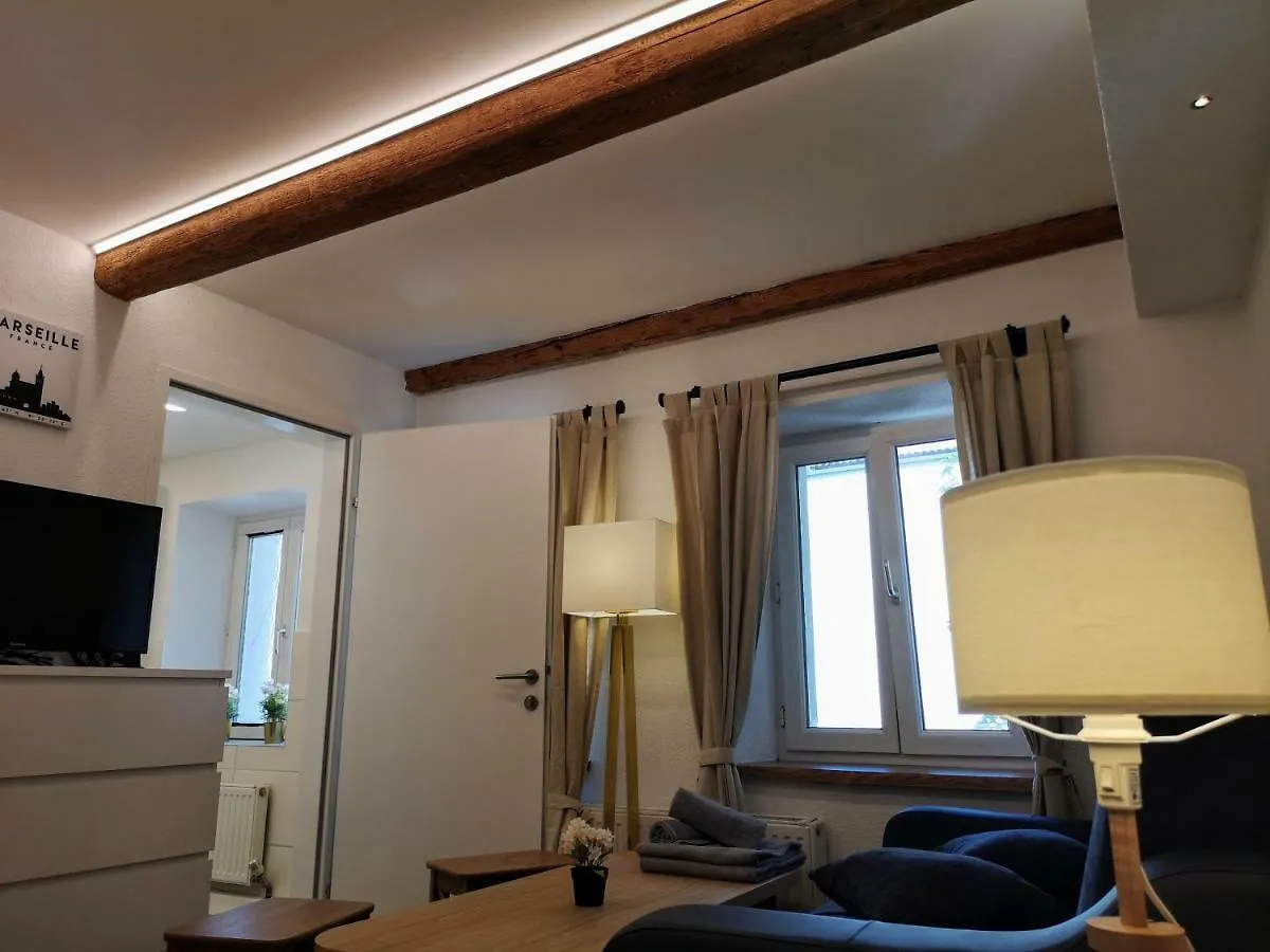 Deluxe Innsbruck Town Studio